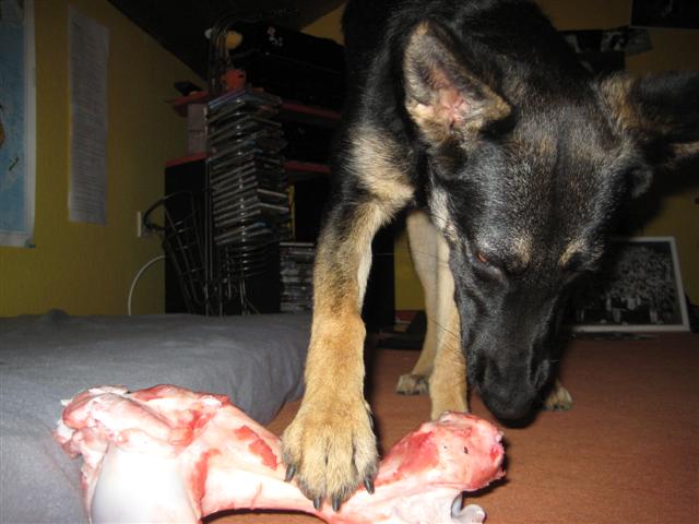 IMG_4483 (Small).JPG