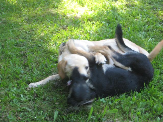 IMG_4844 (Small).JPG