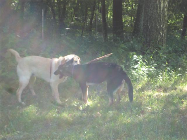 IMG_4851 (Small).JPG