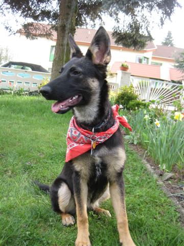 IMG_4415 (Small).JPG