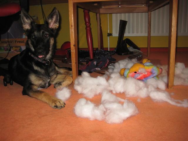 IMG_4431 (Small).JPG