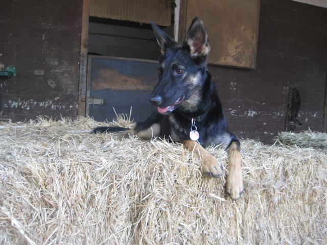 IMG_4905 (Small).JPG