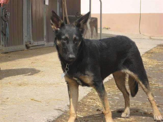 IMG_4933 (Small) (Small).JPG