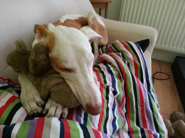 20140514_144842.jpg