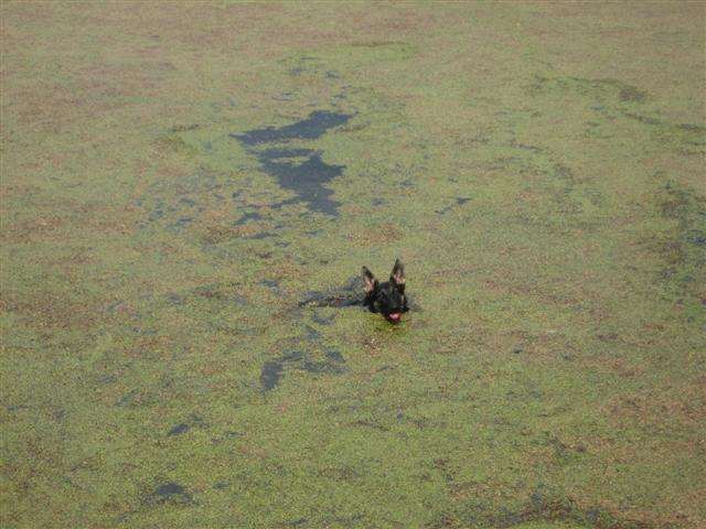 IMG_4964 (Small).JPG