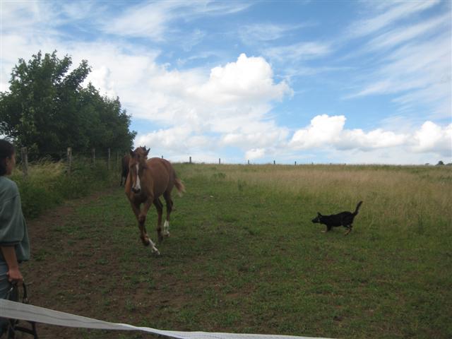 IMG_4973 (Small).JPG