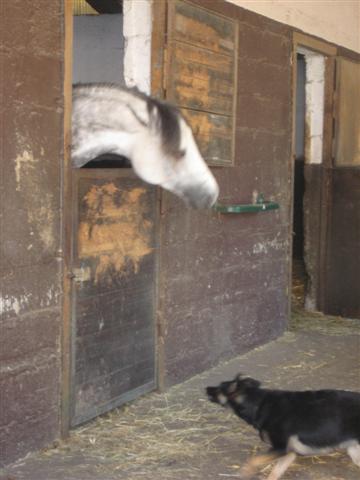 IMG_4989 (Small).JPG