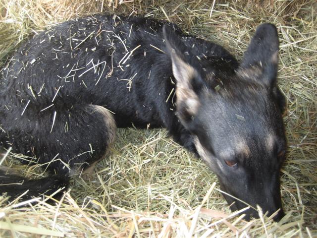 IMG_4978 (Small).JPG