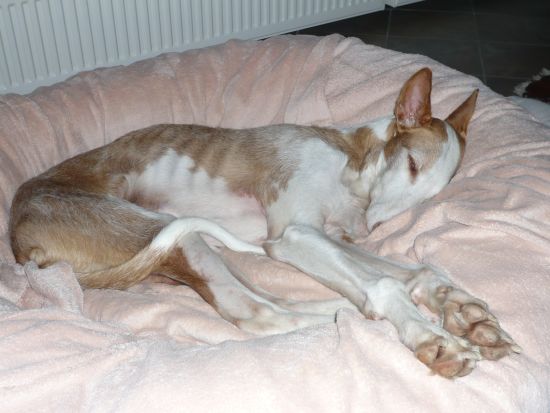 P1000869k.jpg