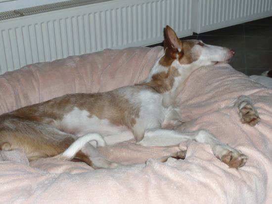 P1000880k.jpg