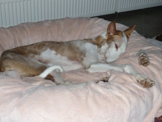 P1000881k.jpg