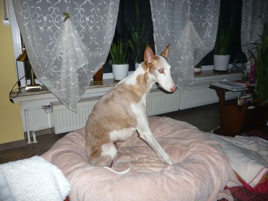 P1000885k.jpg