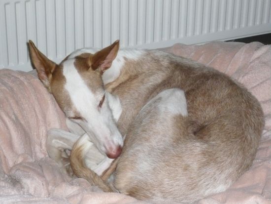 P1000889k.jpg
