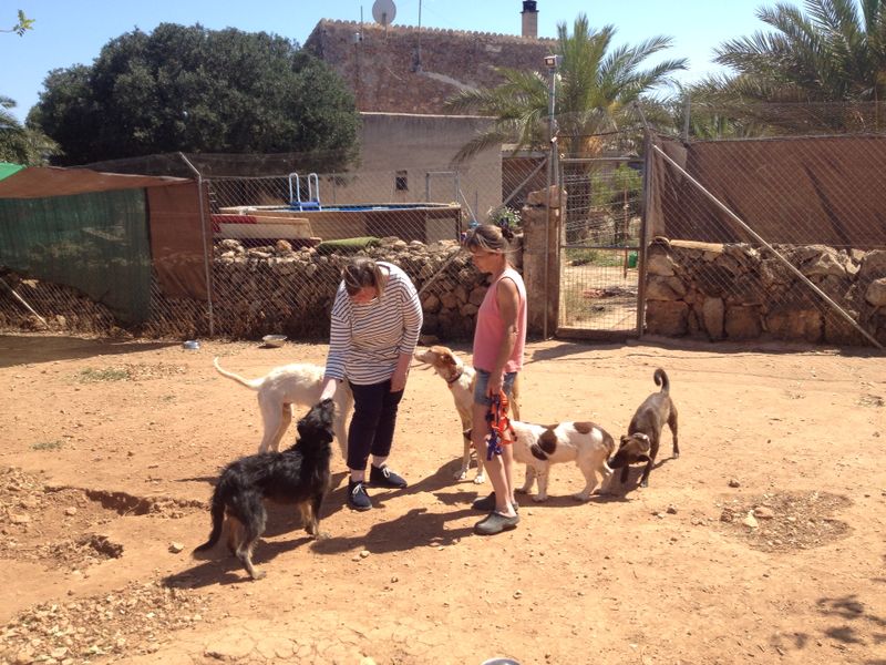 BesuchFinca1.jpg