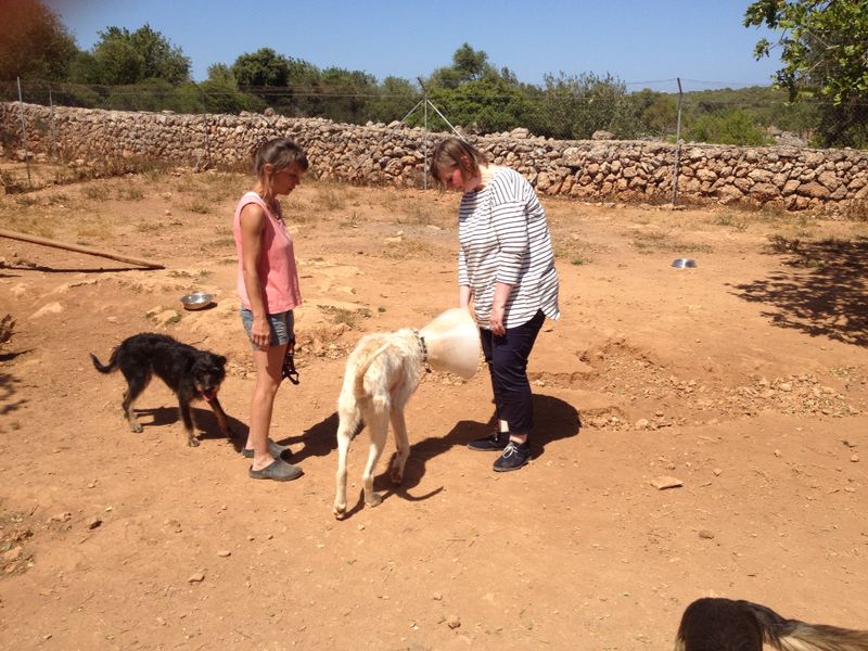 BesuchFinca2.jpg