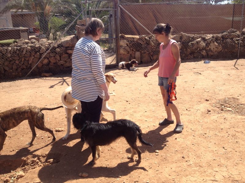 BesuchFinca3.jpg