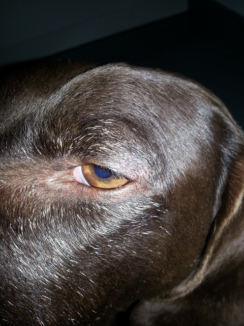 Na bitte - fast nichts zu sehen!