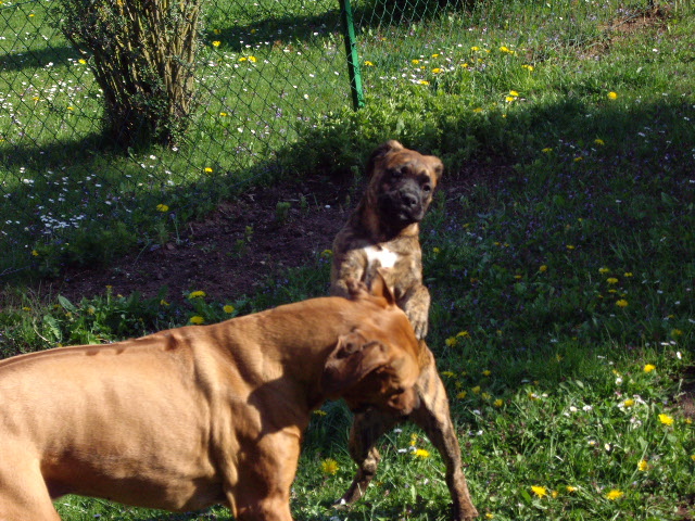 Priya unterwegs 034.jpg