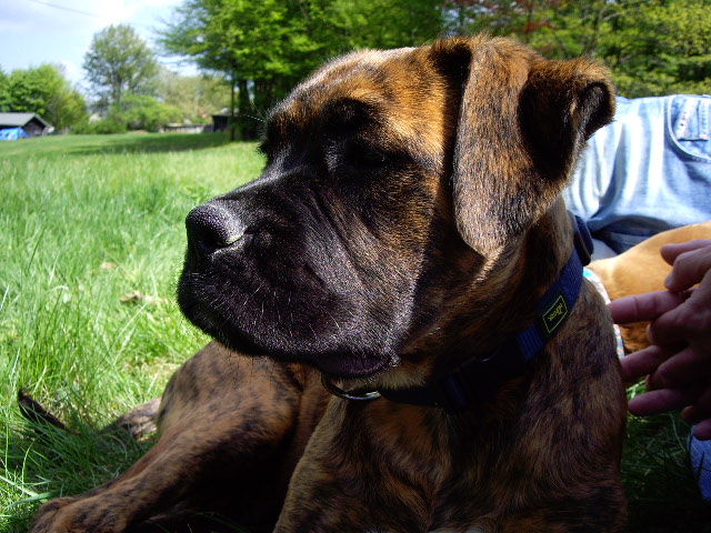 Priya unterwegs 095.jpg