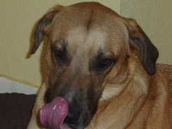 P1060081(1).JPG