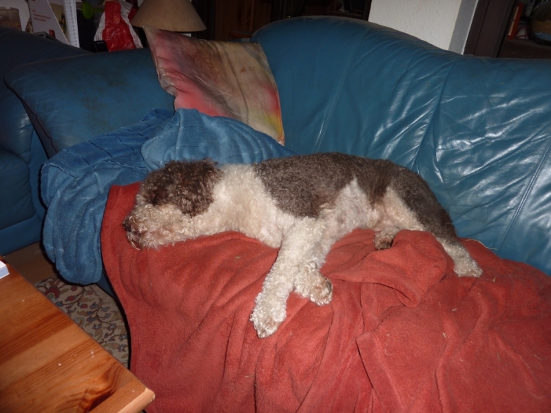 2014-05-28 klein 3.jpg