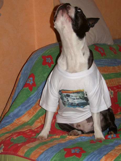 SchmidtTshirt01a.jpg
