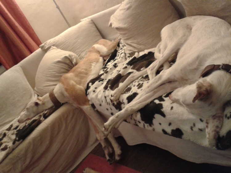 20140530_222324.jpg