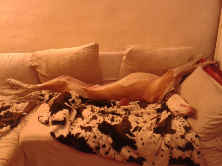 20140602_230424.jpg