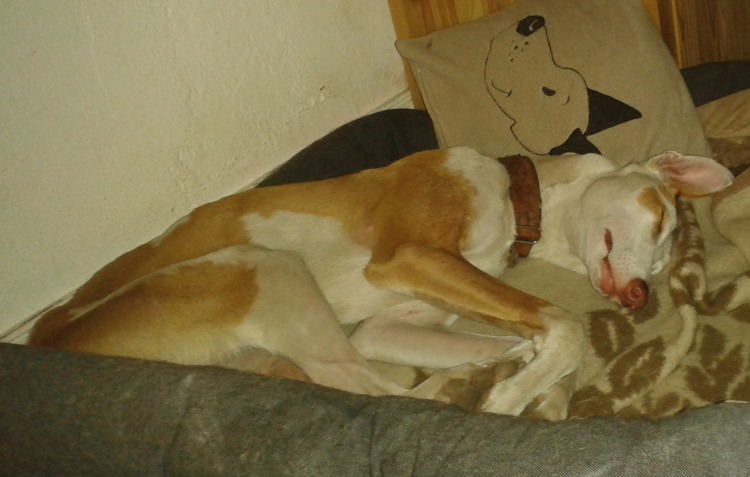 20140603_013638.jpg