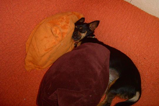 nena3.jpg