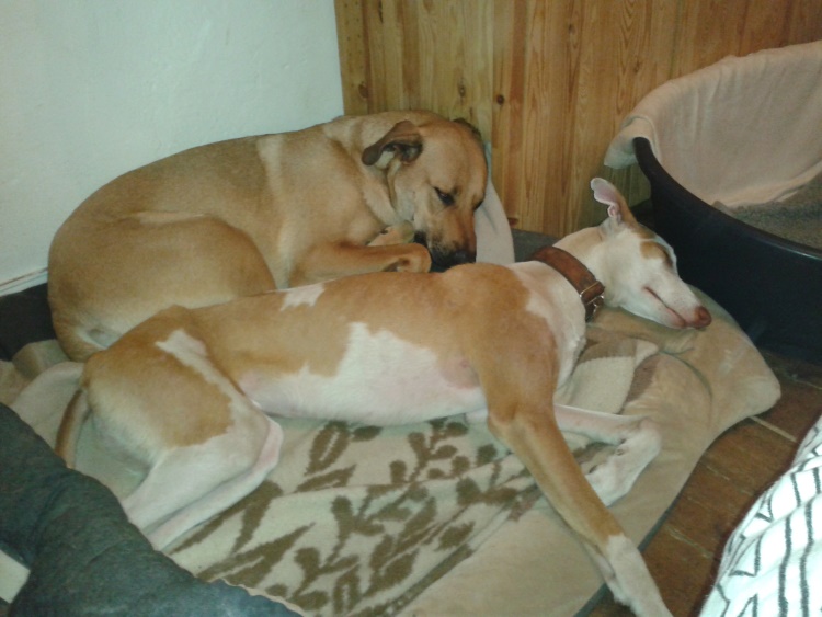 20140607_235619.jpg