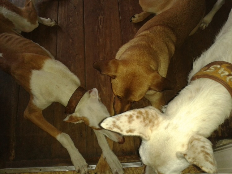 20140608_160008.jpg