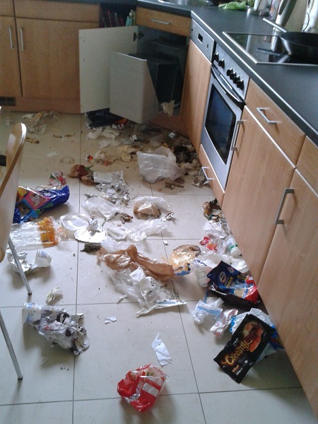 Rockyhome3.jpg