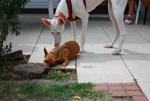 DSC_0127.jpg