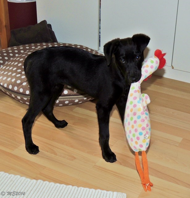 DSCN9034.JPG