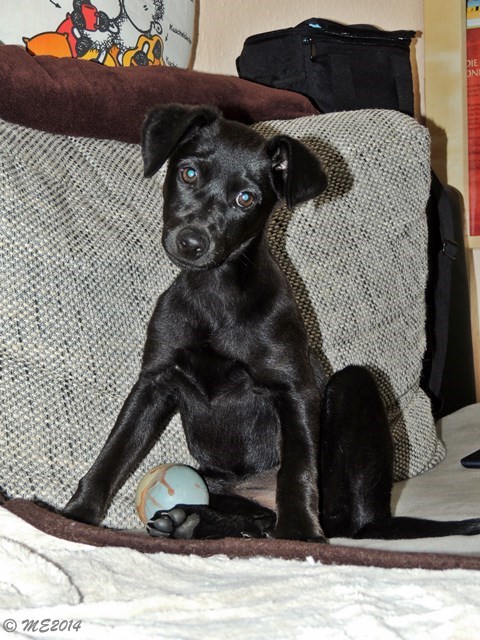 DSCN9061.JPG