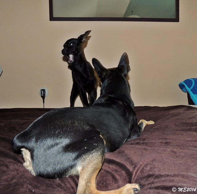 DSCN9160.JPG