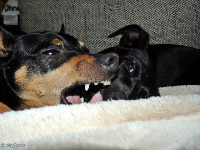 DSCN9175.JPG
