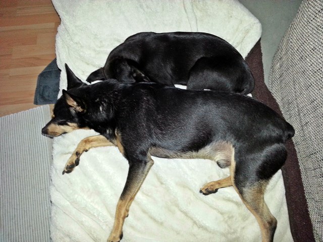 20140528_134044.jpg