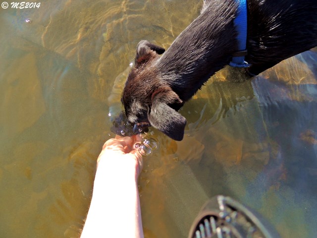 DSCN9530.JPG