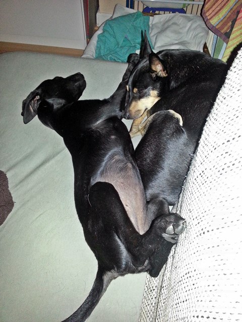 20140605_220935.jpg