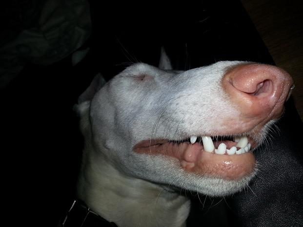 20140613_222806.jpg
