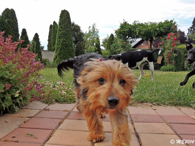 DSCN9572.JPG
