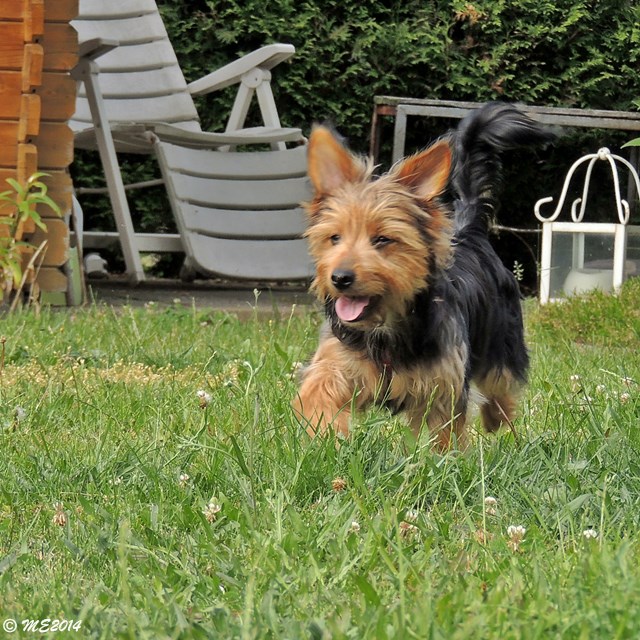 DSCN9614.JPG