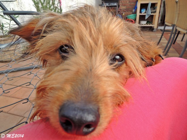 DSCN9630.JPG