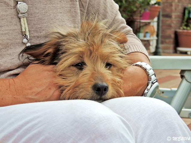 DSCN9635.JPG