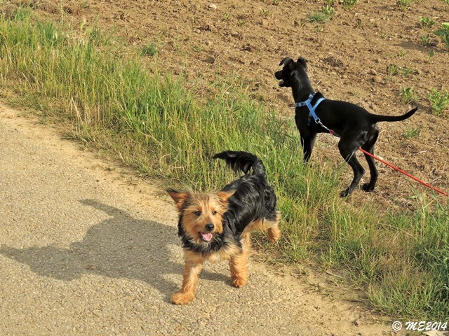 DSCN9642.JPG
