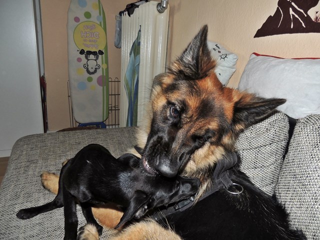 DSCN9665.JPG