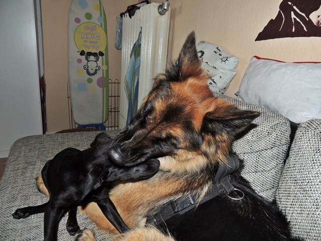 DSCN9666.JPG
