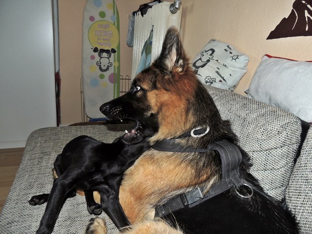 DSCN9667.JPG